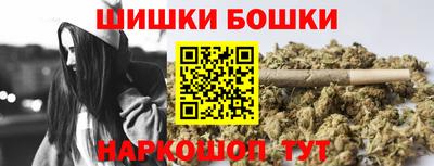 СК Тула