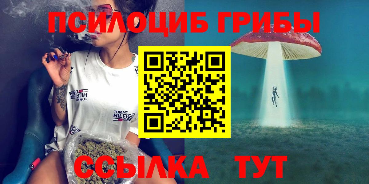 Галлюциногенные грибы мицелий  Вход с VPN  Улан-Удэ 